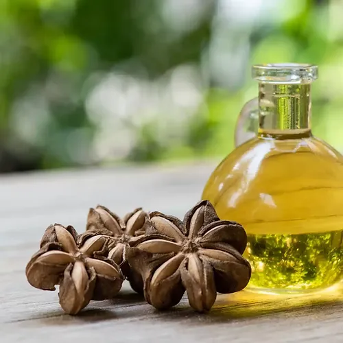 ACEITE EXTRAVIRGEN de SACHA INCHI: Omegas, salud cardiovascular, concentración