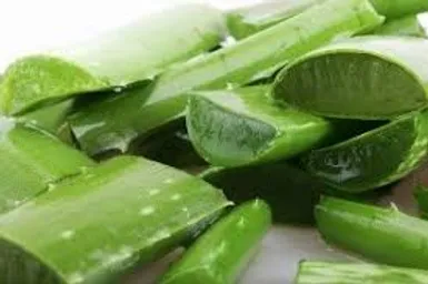 EXTRACTO DE ALOE VERA