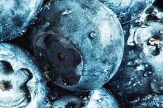 EXTRACTO DE ARANDANOS & CACAO