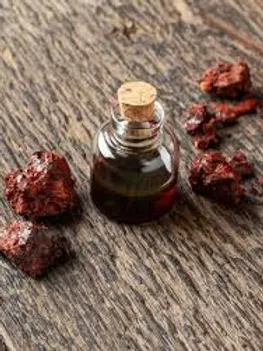 EXTRACTO DE DRAGON´S BLOOD