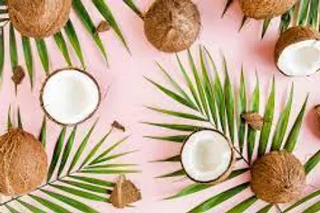 FRAGANCIA BOTÁNICA COCO