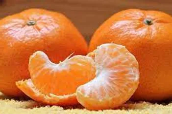 FRAGANCIA BOTANICA MANDARINA JAPONESA