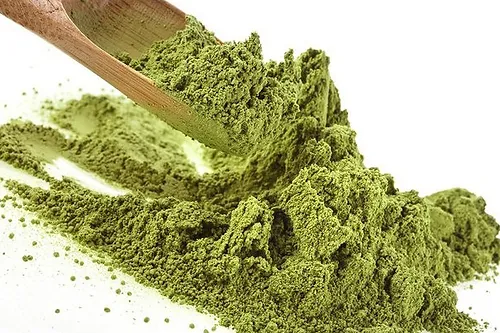 MORINGA ORGÁNICA POLVO