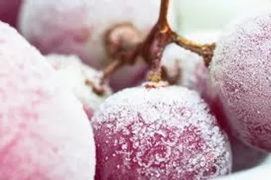 Vin Up Lift Líquido - Efecto Lifting Inmediato y Sostenido Anti-Edad