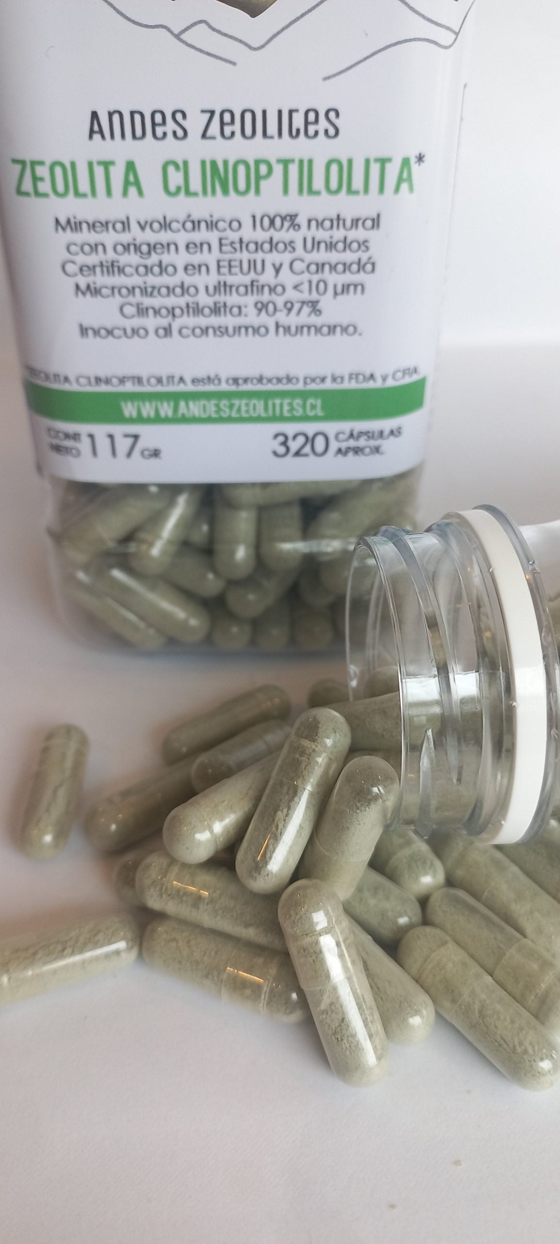 ZEOLITA MICRONIZADA Clinoptilolita