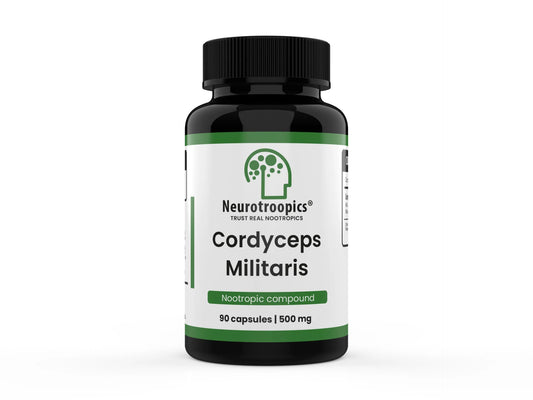 CORDYCEPS MILITARIS