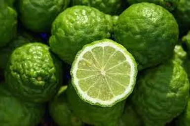 Fragancia Botánica Bergamota Spicy - Cítrica Especiada Aromática Cosmética