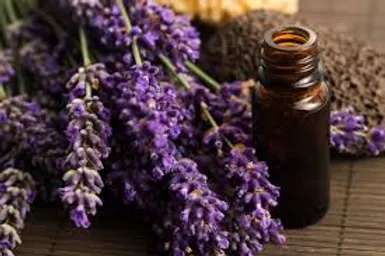 FRAGANCIA BOTÁNICA LAVANDA & MIRRA