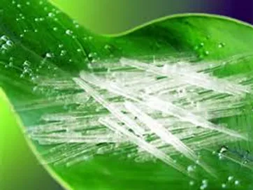 MENTHOL CRISTAL